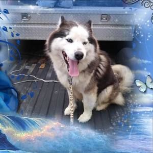 Meet your Posher, Jimmy